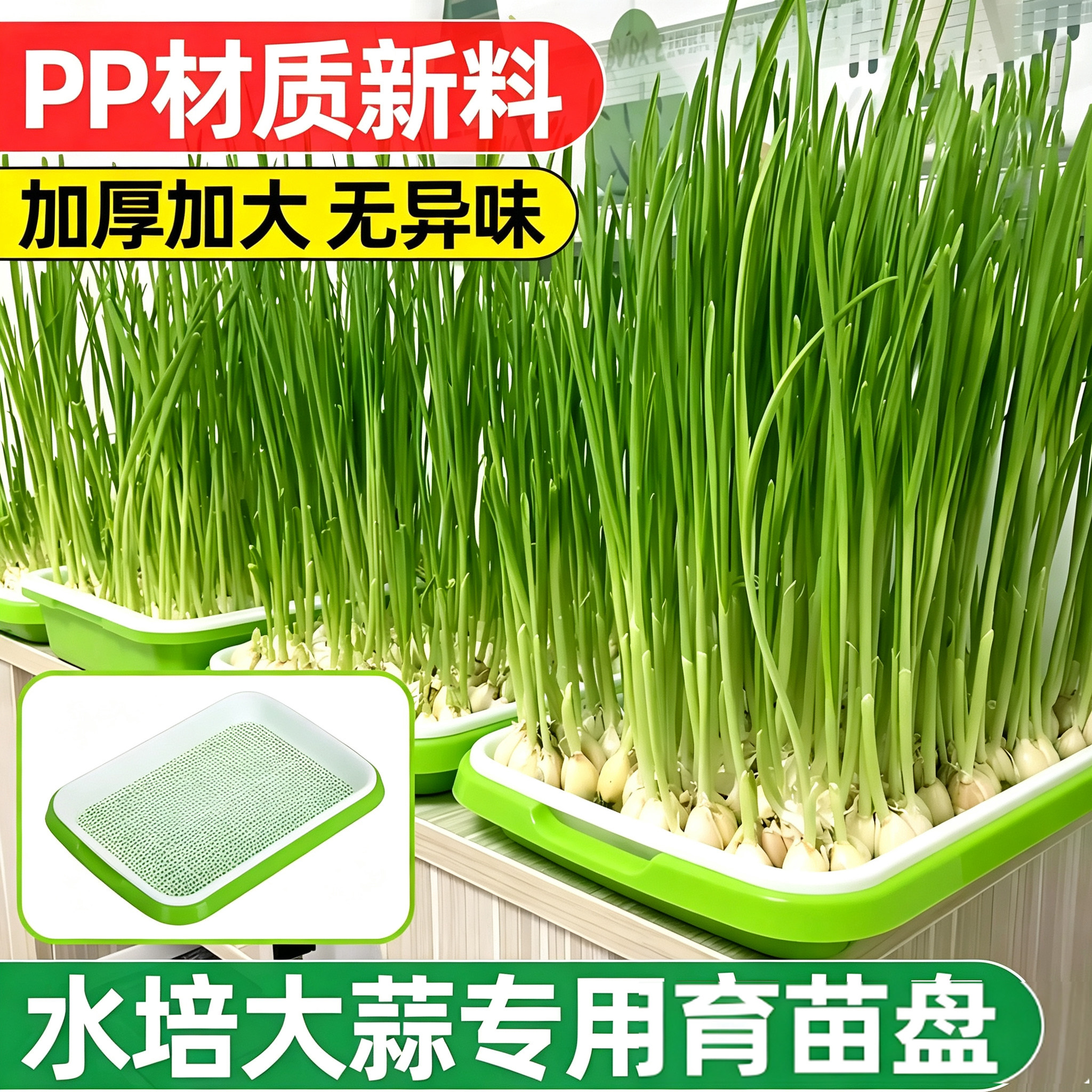 阳台室内种菜神器水培蔬菜种子水培盘育苗盘水培盆大蒜育苗盆通用