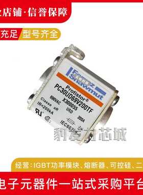 PC70GB69V200TF M30131169V250TF N301312  69V315TF全新熔断器