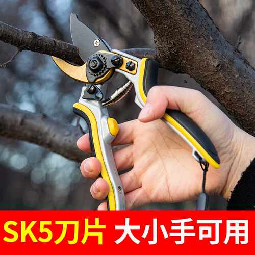 剪枝果树修枝剪刀园艺园林修花枝剪家用花艺专用剪子神器花剪工具