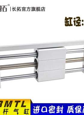 RMTL无杆磁偶气缸16x100x200x300x400x500SA-600-700-800