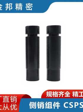 模具专用冲压配件 45号钢发黑 单槽型侧销组件CSPST 侧销弹簧卡板