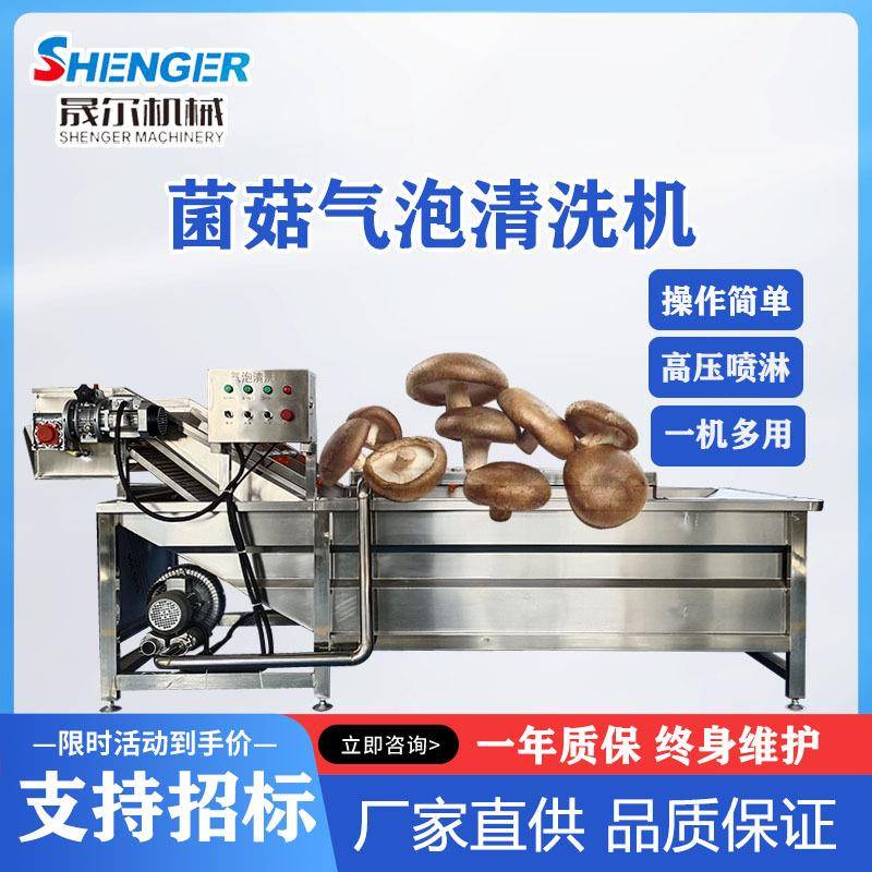 现货商用果蔬气泡清洗机芥菜大姜去泥沙清洗机中药材jia工设备