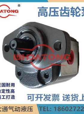 齿轮泵液压油泵1AG1P02R/02R/03R/04R/0R5/06R/07R/08R/09R/35R