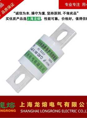 熔断器RS96B AC500V 500A，银片熔芯，上海龙熔