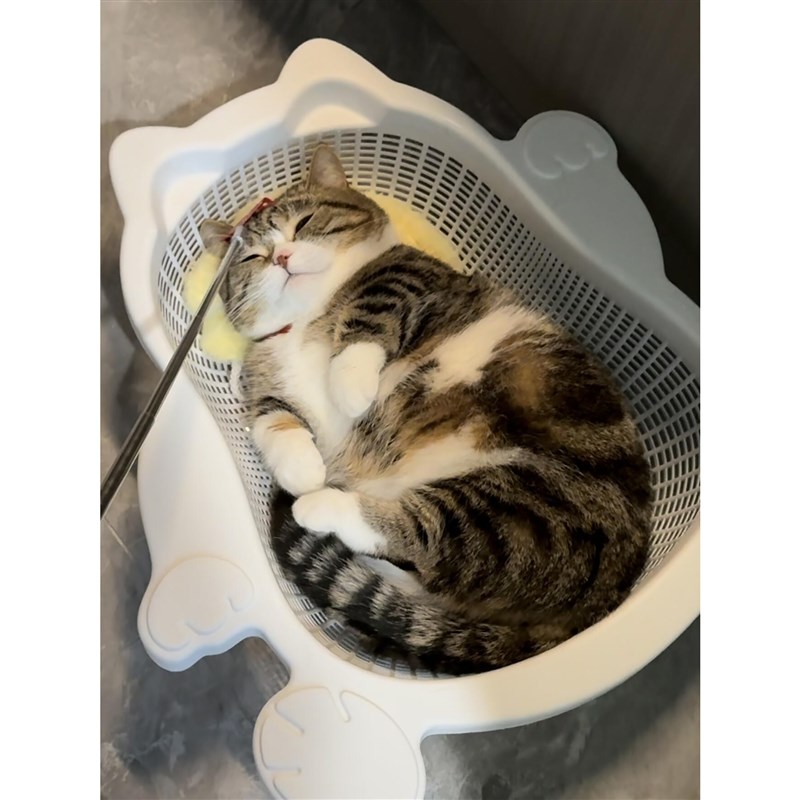 菜篮子猫窝夏季透气凉爽降温猫床加厚PP舒适耐抓垫子可水洗宠物窝