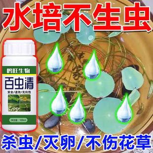 水培植物杀虫剂鱼缸池塘除蚊子幼虫虫卵药孑孓红线虫卵双杀生物肥