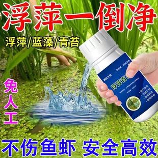 浮萍净养殖不伤藕虾蟹蟹池塘除浮萍速杀浮萍净一扫光清除剂青萍