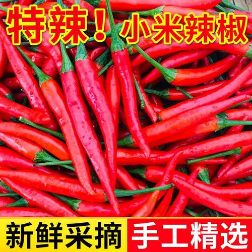产地小米辣椒魔鬼新鲜红辣椒辣鲜椒正宗朝天椒特辣泡椒巨辣指天椒