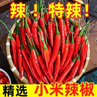 产地小米现摘辣椒新鲜红辣椒辣鲜椒朝天椒特辣泡椒巨辣指天椒直发