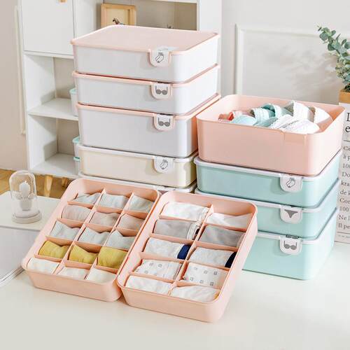 1/10/15 Grid Plastic Underwear Storage Box with Mark Closet