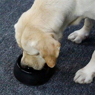 Slow Food Bowl Choke Prevention Dog Bowl Dog Bowl Cat Bowl