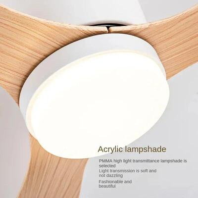 Modern LED Ceiling Fan Light With Remote Control Low Floor D
