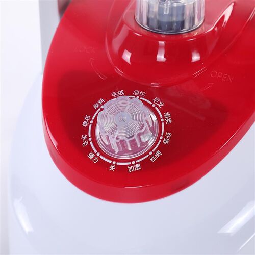 electric compact iron steam soleplate clothes steamer 蒸气熨