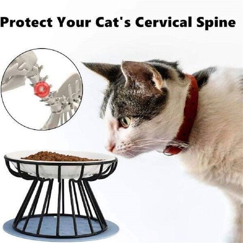Cat Bowl-Raised Food Bowl Elevated Cat Feeder Bowl Stand
