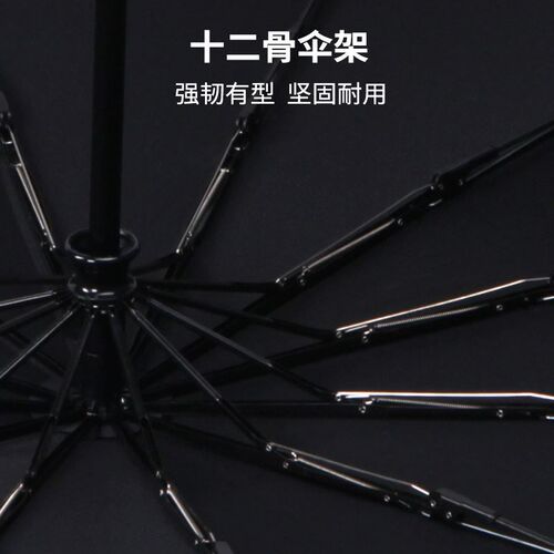 umbrella oversized double automatic business windproof