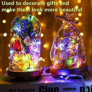 20 Pack String Fairy Lights 30Led 3M Silver Copper Wire Batt