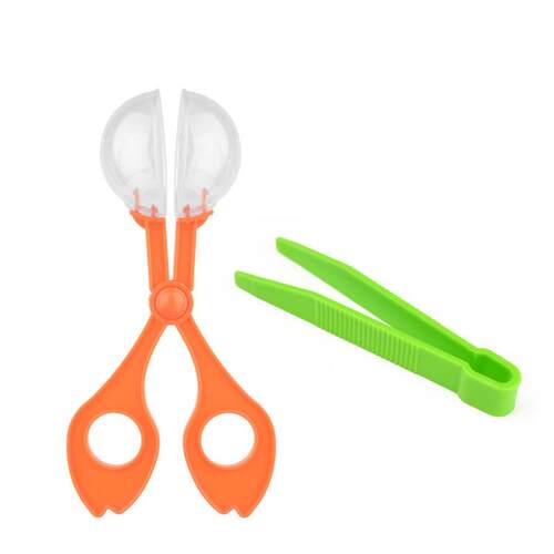 1pcs Outdoor Toys Plant Insect Biology Study Tool Set Plasti