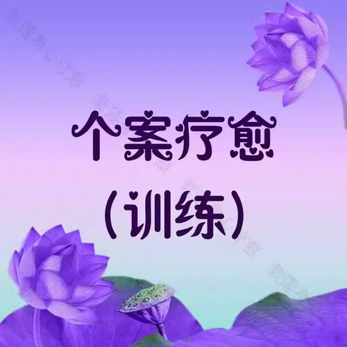 个案疗愈训练视频课程