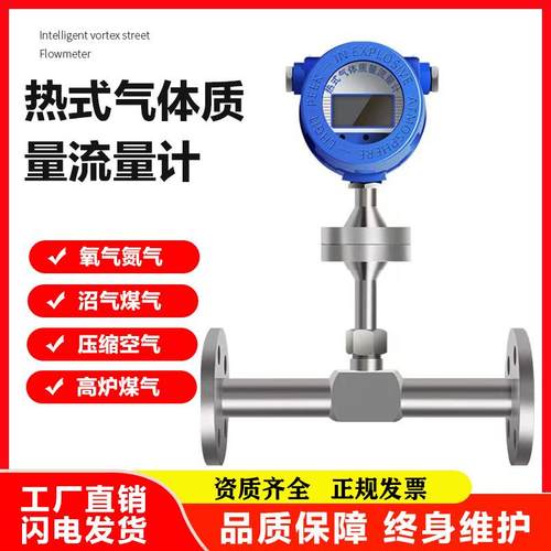 热式气体质量流量计压缩空气天然气氮气氧气沼气煤气插入式流量计