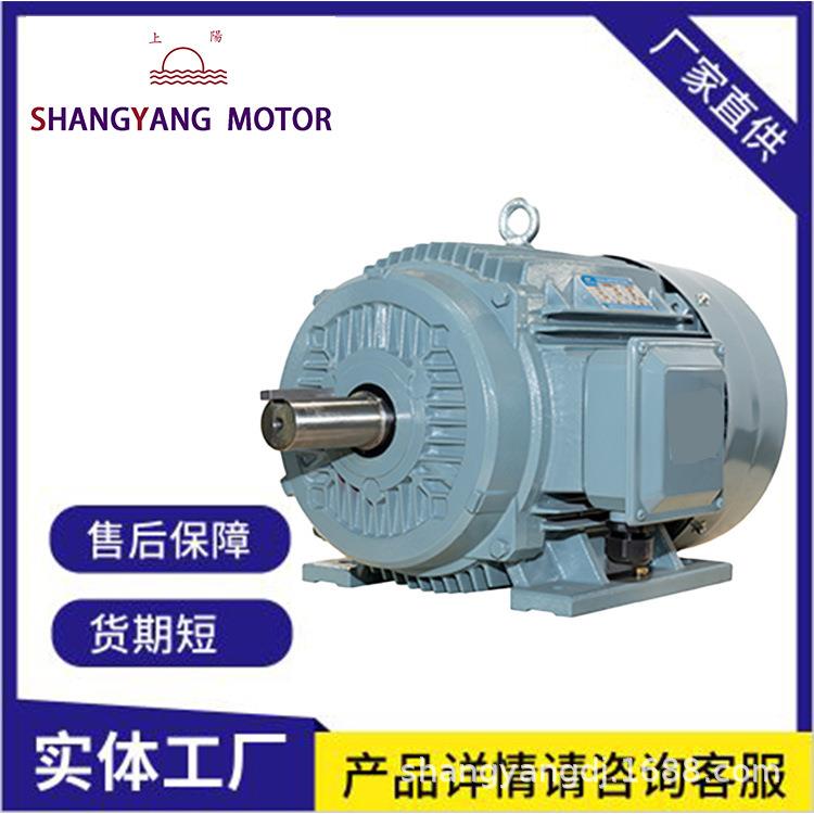 三相异步电动机0.75wYE3-80M2-4全新铜国标马达YE3电机380V