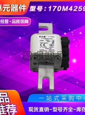 170M3120 170M3121 170M3122 170M3123伊顿巴斯曼快速熔断器 保险
