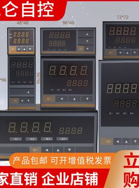 北京昆仑天辰XSW测直流电压50V 100v 500vDC