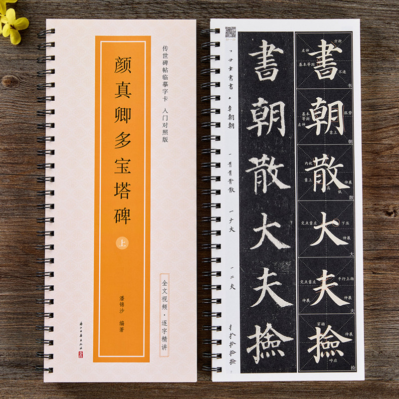 全文视频 颜真卿多宝塔碑传世碑帖临摹字卡入门对照版楷书毛笔字帖逐字精讲 颜体基础教程练字帖成人初学者临摹字卡放大版书法原帖
