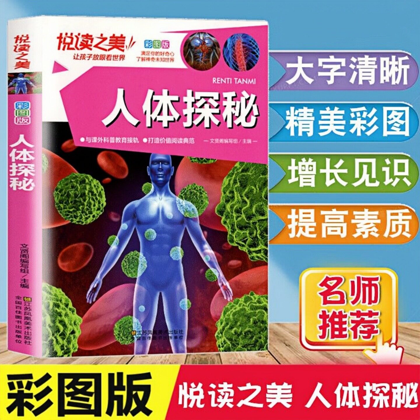 人体探秘儿童科普百科课外图书