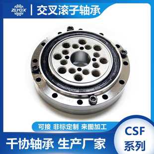 RV减速机厂家 50谐波减速机交叉滚子轴承 机械臂回转支承 CSF