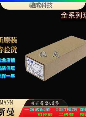 巴斯曼170M0270 170M0271 170M0272 厂家直供零售  高速熔断器