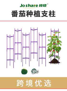 枝晓定制 番茄种植支柱 紫色红色跨境箱装6PS包塑钢管架