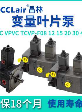 VPKCC TCVVP叶片VB1B1油泵VE1E1 VPVC TCVP VPKC-F12/15/20/30/40