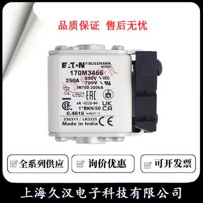 170M3466 170M3467 170M3468 170M3469 BUSSMANN 熔断器 保险丝
