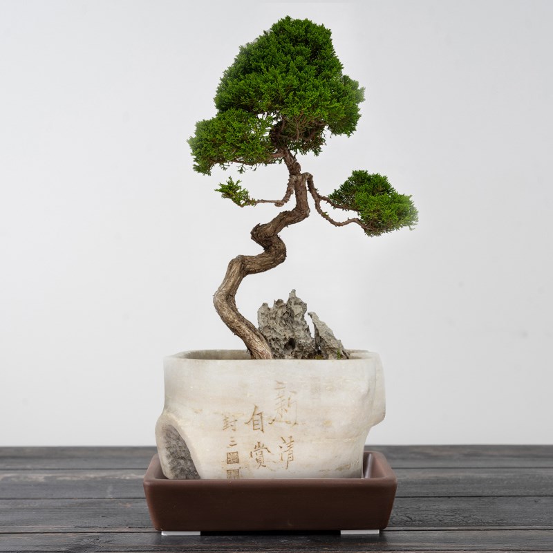 高档盆底a碗莲紫砂托盘长方形黑砂红砂用品垫底搭配特大号底垫简