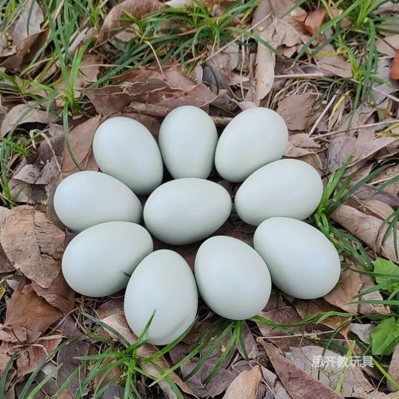 实木抱窝涂鸦鹅蛋假木质引窝w鸡蛋道具鸭蛋绿壳实心鸡蛋过家家实