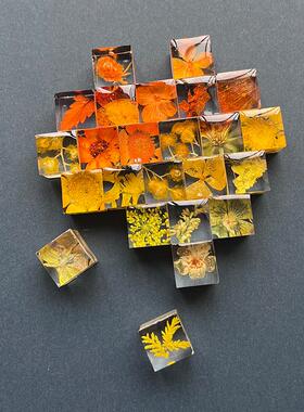 小红书同款手工滴胶植物方块成品立体标本永生花摆件送朋友礼物