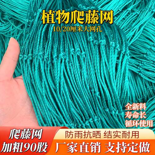 加粗爬藤网90股大网孔瓜果蔬菜种植攀爬网花卉藤蔓农用网百香果网