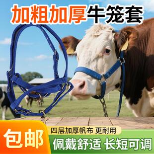 栓牛笼头牛头套牛龙头栓牛绳子缰绳大小牛笼嘴牛头套缰绳牛笼头