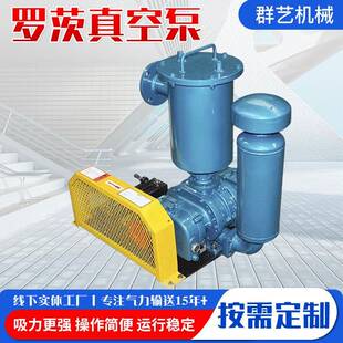 微型罗茨真空泵立式 厂家定制水环式 增压泵全自动小型罗茨真空泵