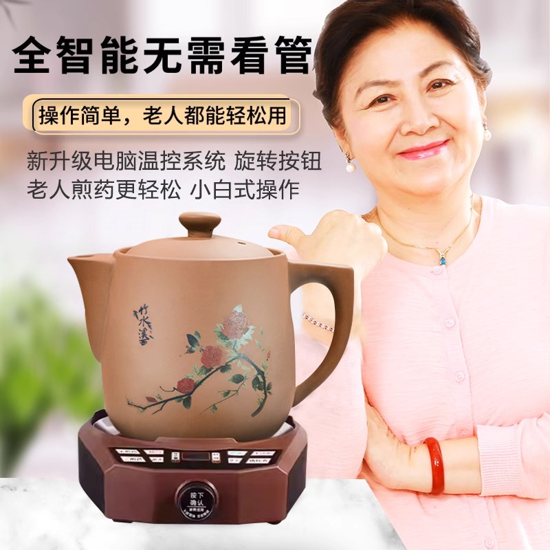 竹水溪紫砂煎药壶全自动熬药中药电煎壶家用药罐中医煎锅砂锅药煲