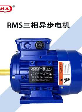 意大利FEMA三相RMS系列异步电机56132基座节能静音安装可自由选择
