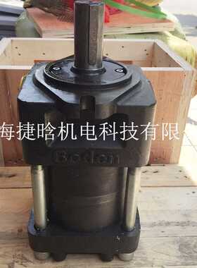 博顿液压股份 BNP3-G25F 内啮合齿轮泵 boden液压泵
