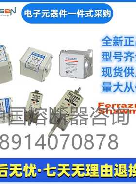 美尔森熔断器   D300SE24C180QF  Q079479