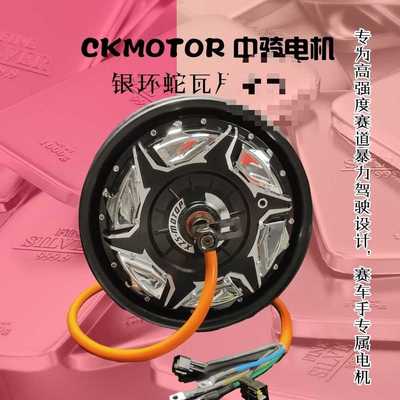 中骑银环蛇12寸3000WP4000WP5000wp电机非全顺豫马瓦片