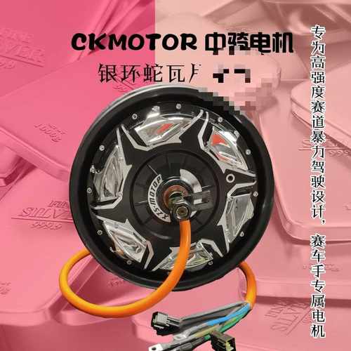 中骑银环蛇12寸3000WP4000WP5000wp电机非全顺豫马瓦片