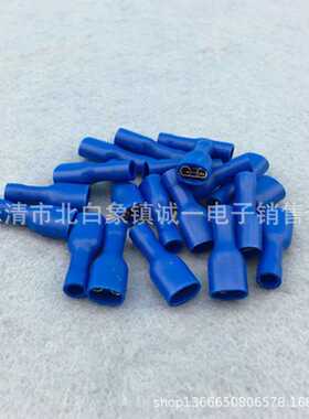 FDFD2-250母预绝缘端子 连接头 接线端子 蓝色 1000只/包