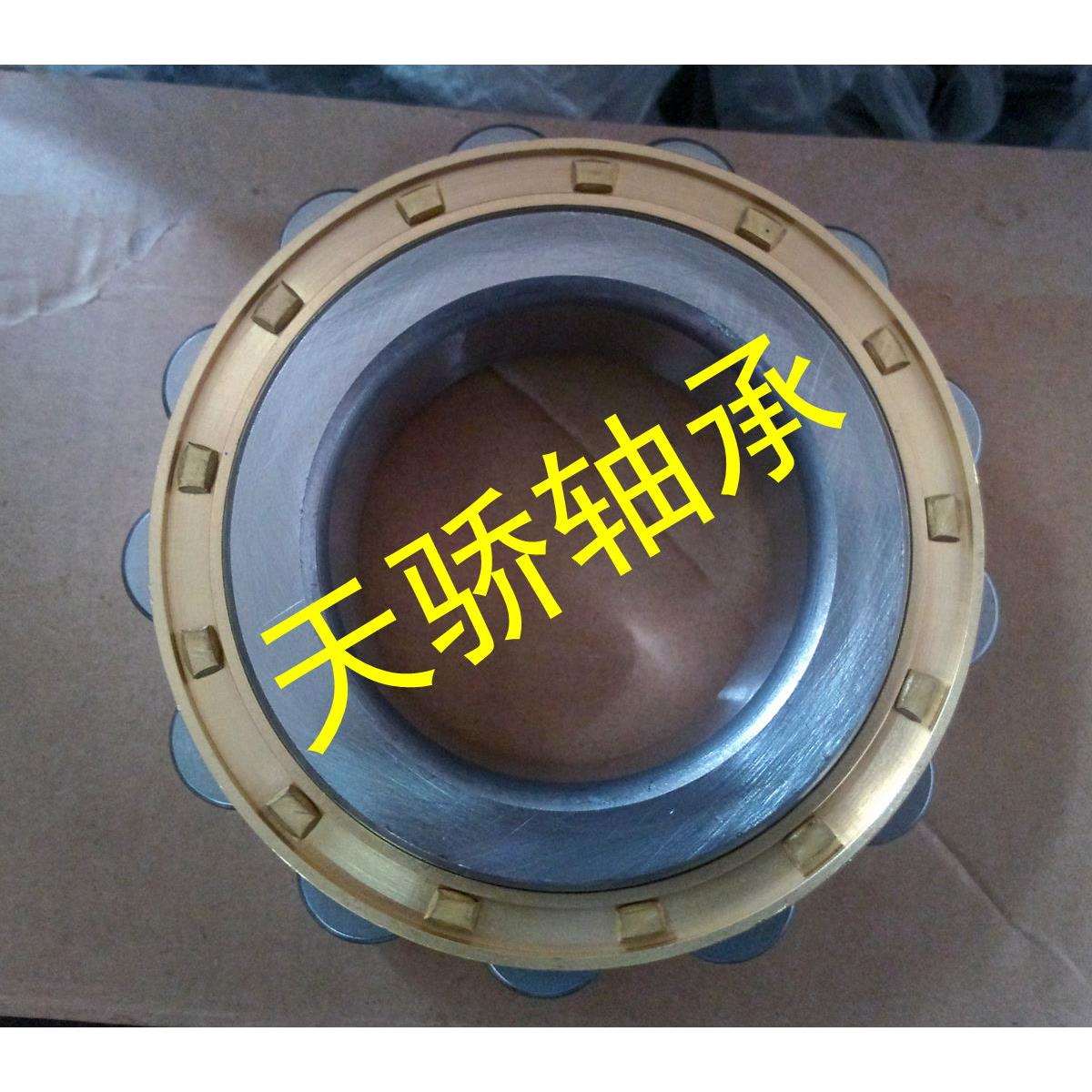 无外圈圆柱滚子轴承RN204M RN205EM 206 207 208 209M