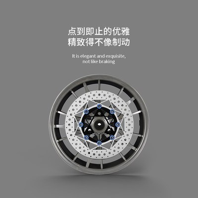 碟煞盘245mm浮动九号E300P新国标电动车小牛电动机车改装幽灵大师