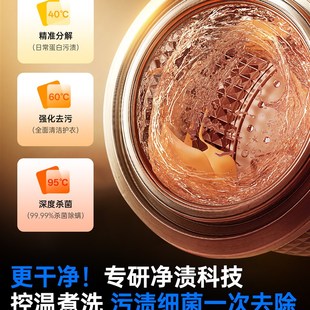 内衣洗衣机内裤迷你专用全自动小型婴儿洗烘一体机袜子高温杀菌煮