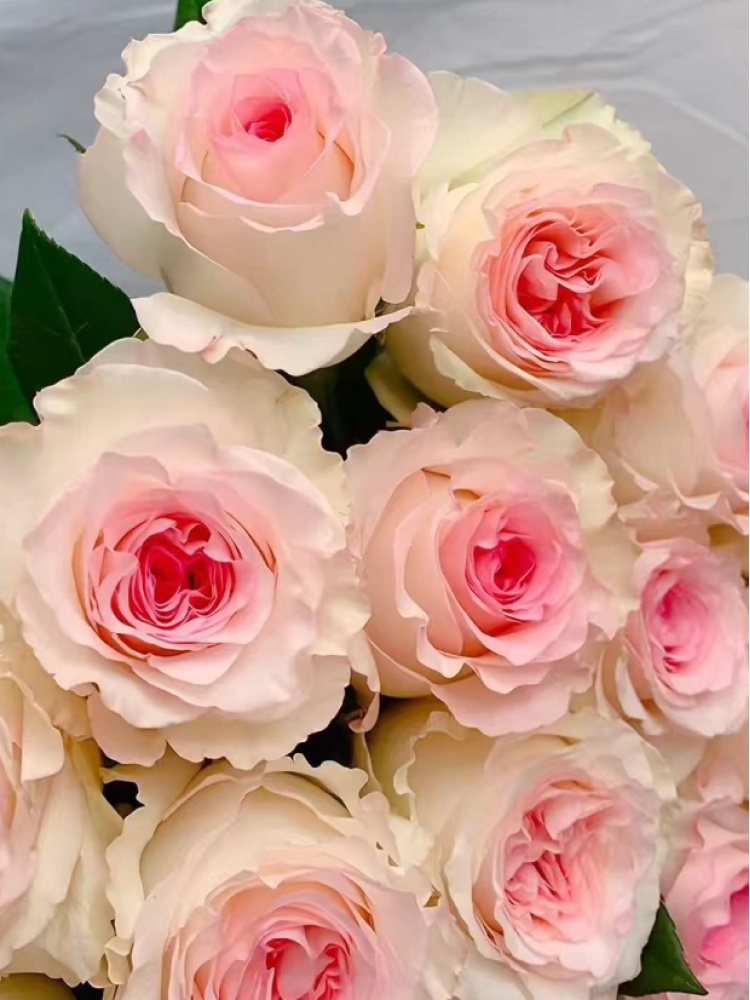 Any 20 roses of 2 varieties, any fresh flowers in the store, fill two orders and send by SF Express thumbnail 3
